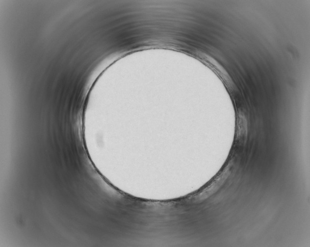 X0000111950812200909071318