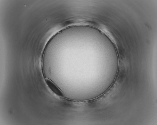 X0000111950813200909071318