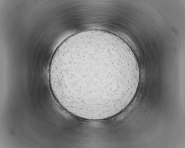 X0000111950814200909071318