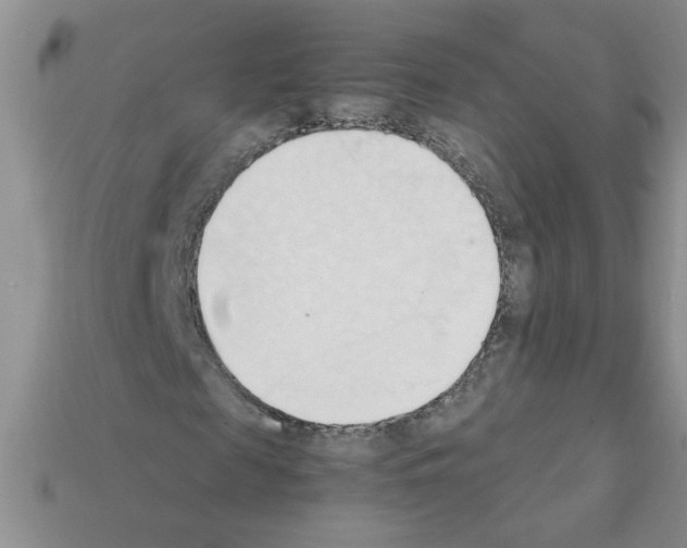 X0000111950817200909071318