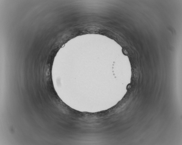 X0000111950818200909071318