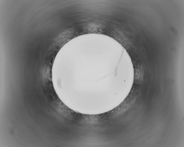 X0000111950820200909071318