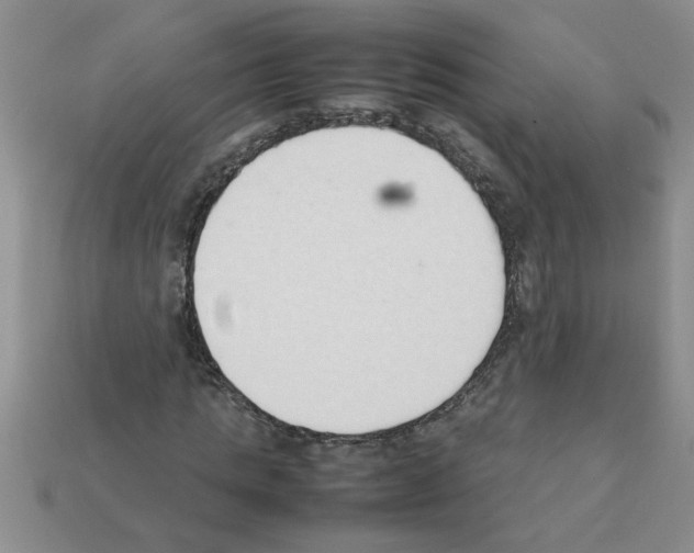 X0000111950821200909071318