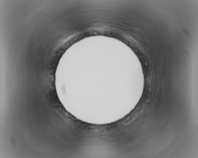 X0000111950822200909071318