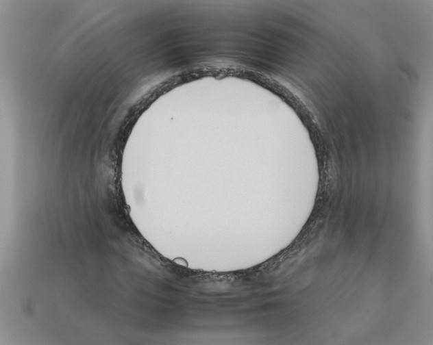 X0000111950823200909071318