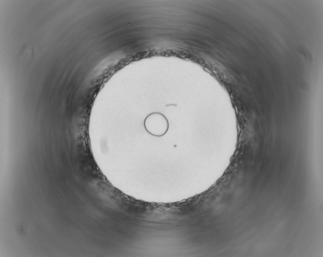 X0000111950824200909071318