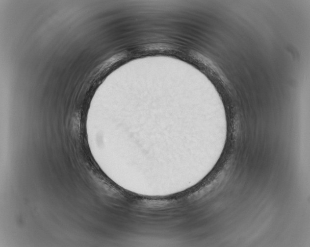 X0000111950825200909071318