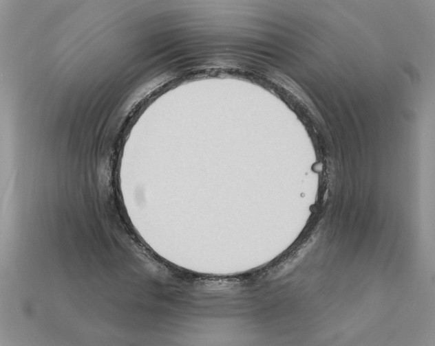 X0000111950826200909071318