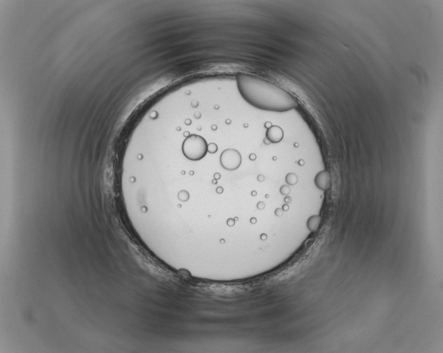 X0000111950827200909071318