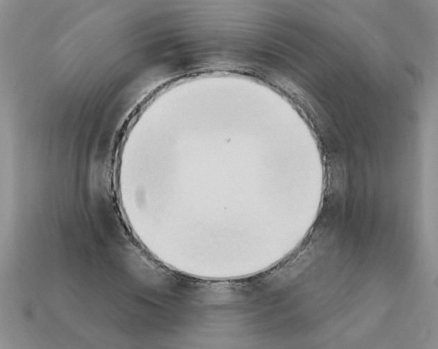 X0000111950828200909071318