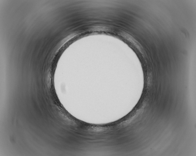 X0000111950829200909071318