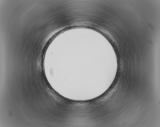 X0000111950830200909071318