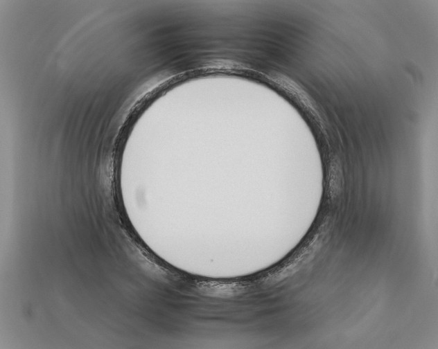 X0000111950831200909071318