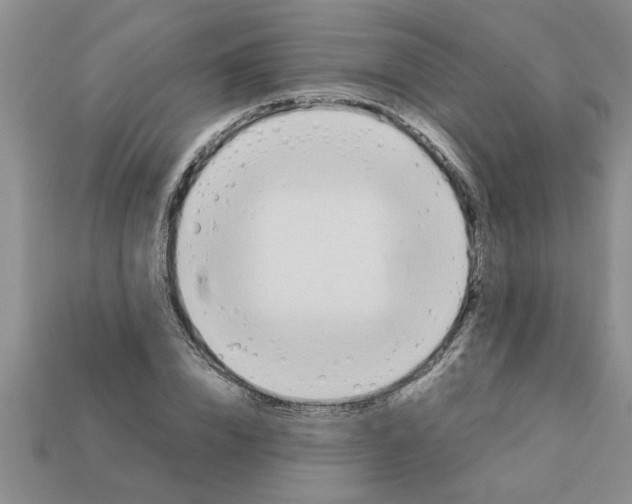 X0000111950832200909071318
