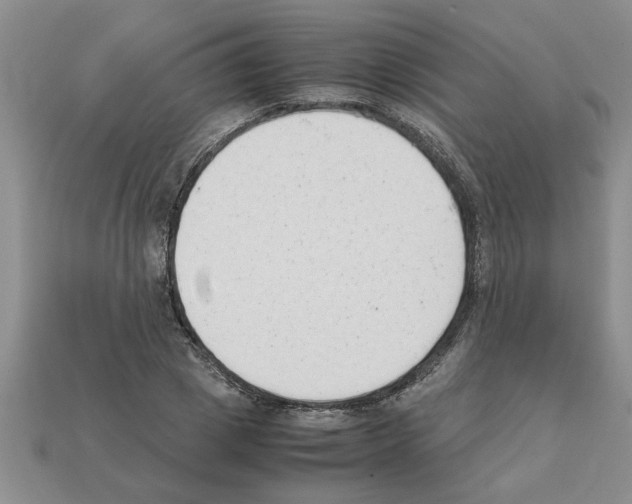 X0000111950833200909071318