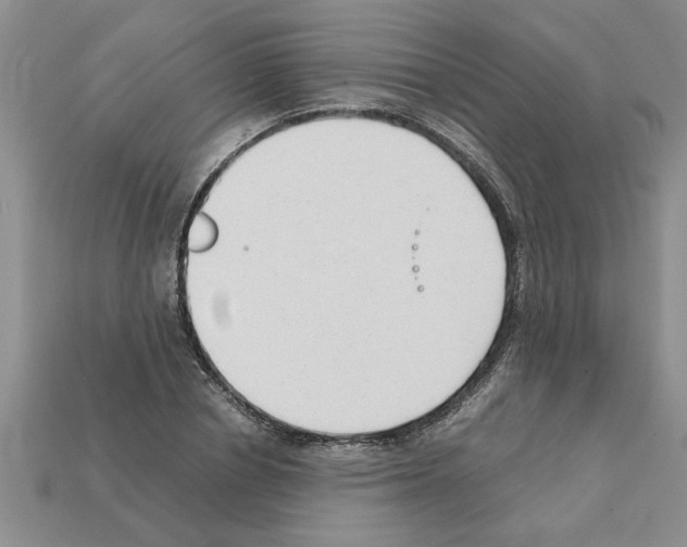 X0000111950834200909071318
