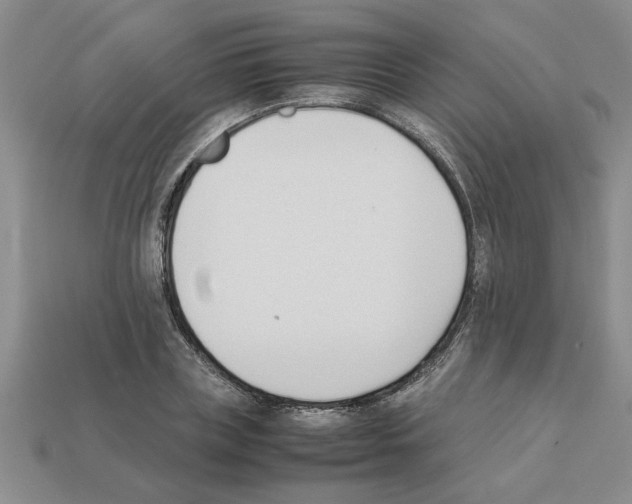 X0000111950835200909071318