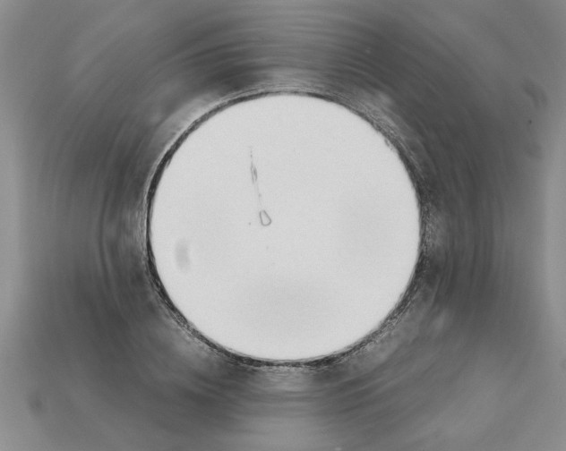 X0000111950836200909071318