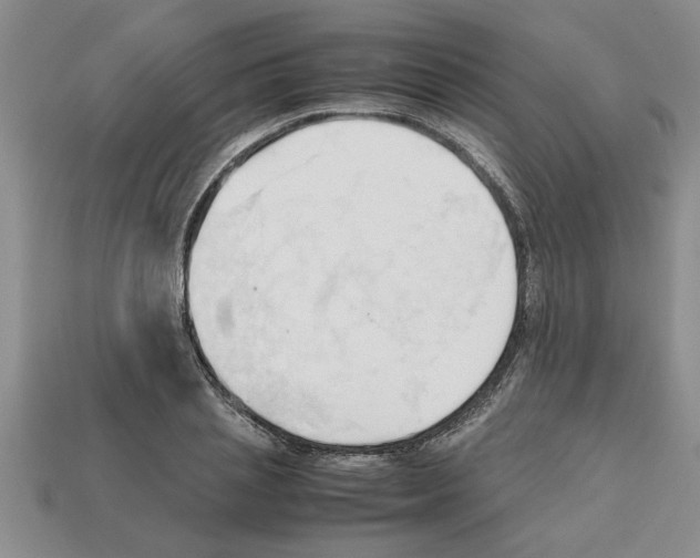 X0000111950837200909071318