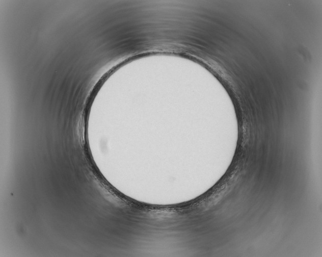 X0000111950838200909071318
