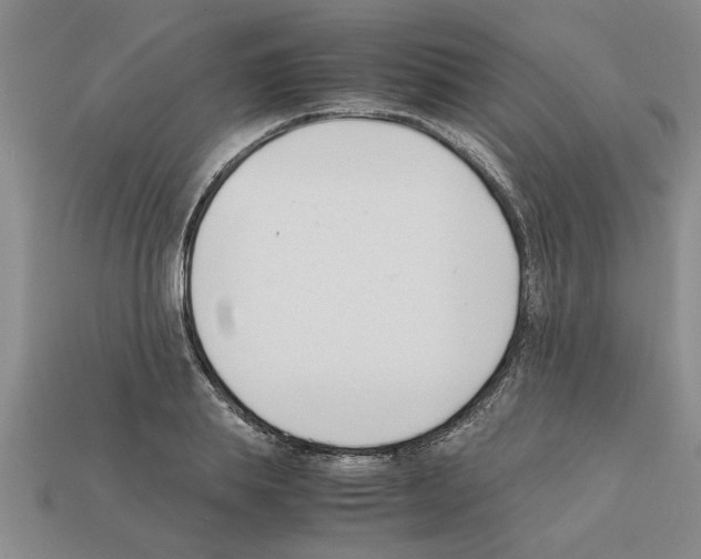 X0000111950839200909071318