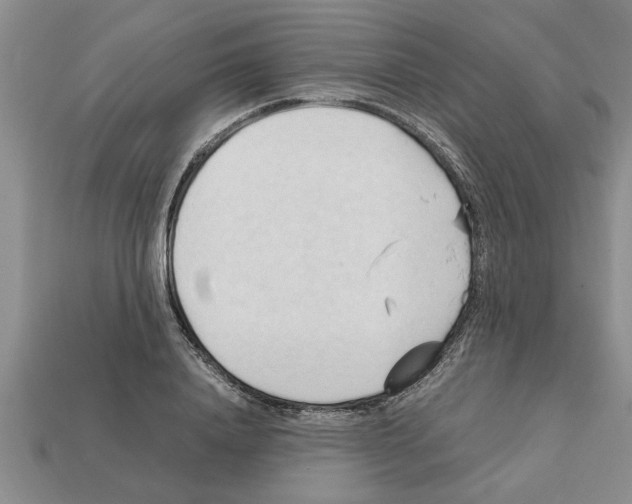 X0000111950840200909071318