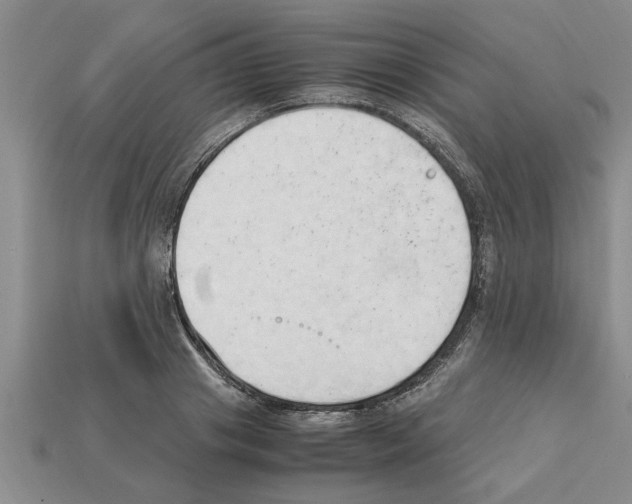 X0000111950841200909071318