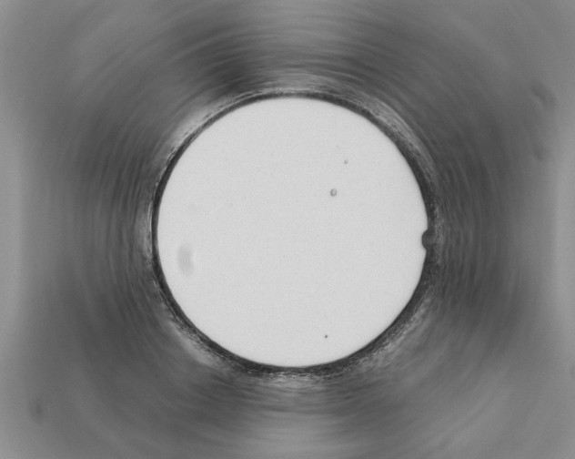 X0000111950842200909071318