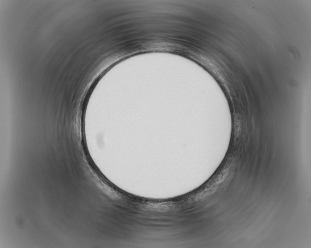 X0000111950843200909071318