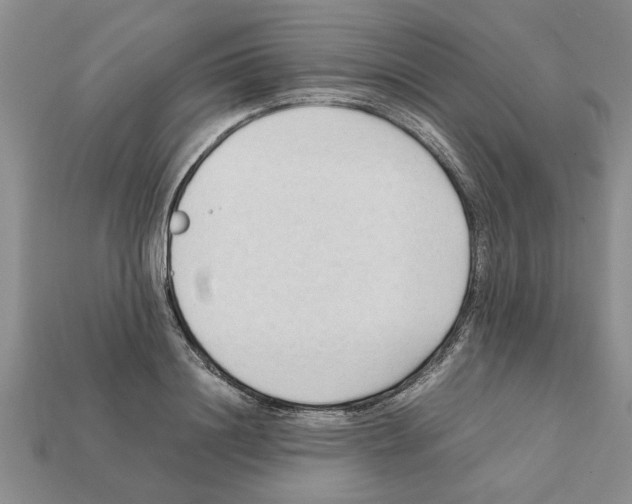X0000111950844200909071318