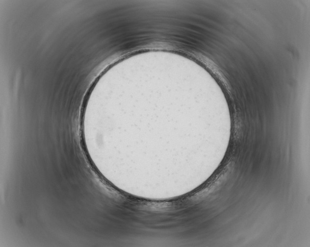 X0000111950845200909071318