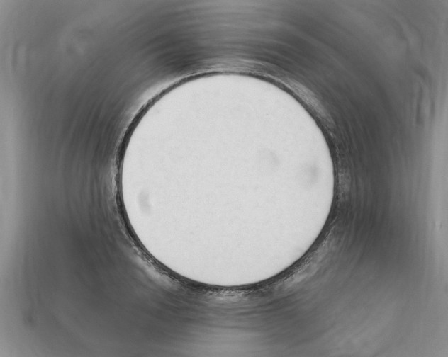 X0000111950846200909071318