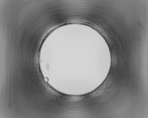 X0000111950848200909071318