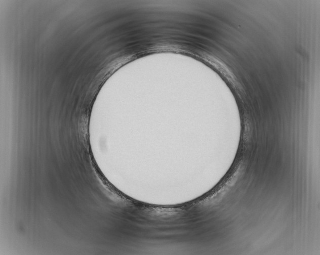 X0000111950849200909071318