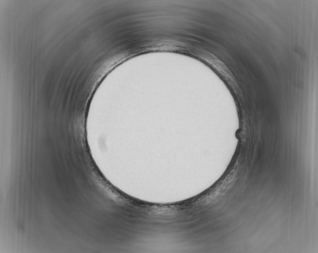 X0000111950850200909071318