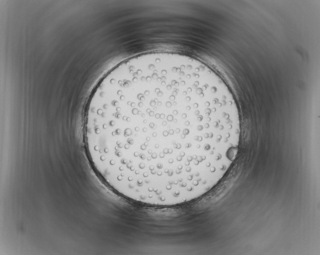 X0000111950851200909071318