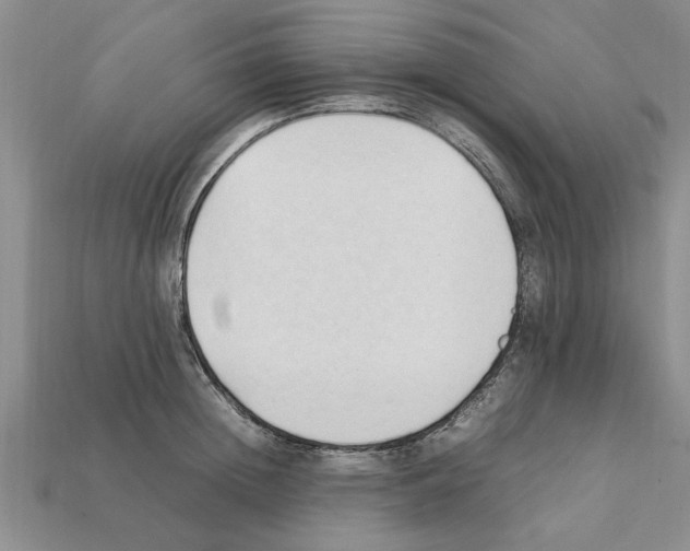 X0000111950852200909071318