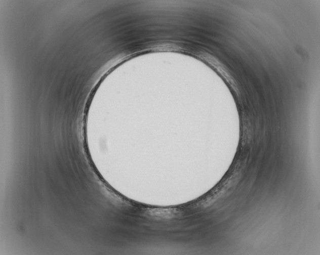 X0000111950853200909071318