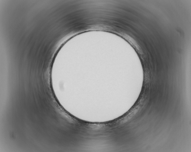 X0000111950854200909071318