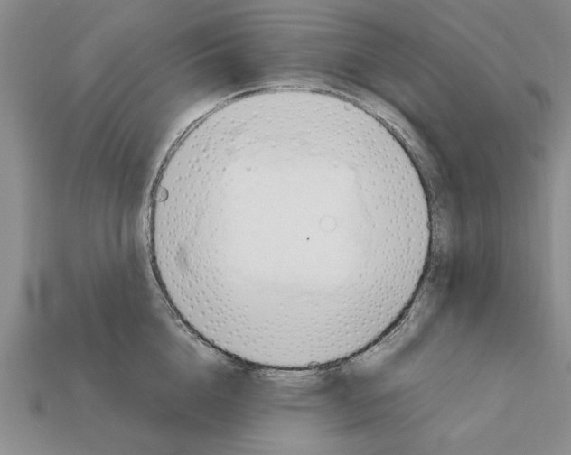X0000111950856200909071318