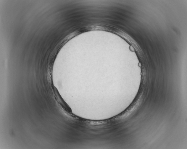 X0000111950857200909071318