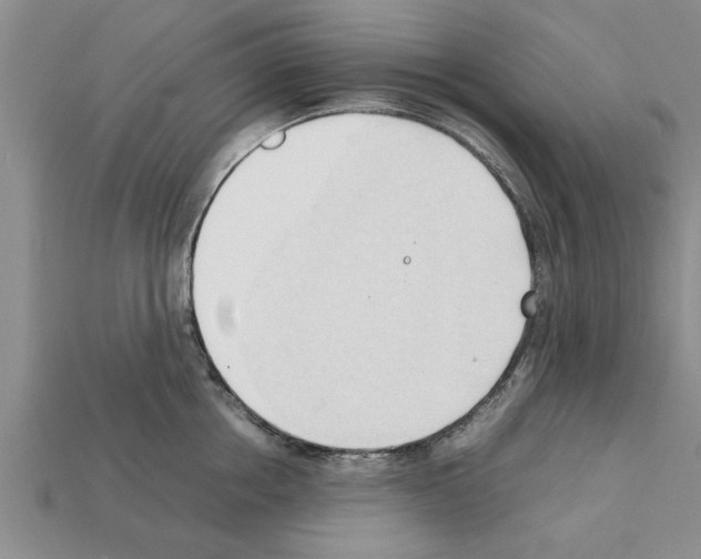 X0000111950858200909071318