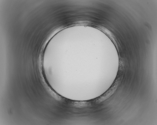 X0000111950859200909071318