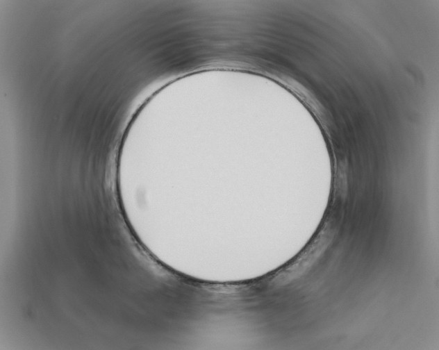 X0000111950862200909071318