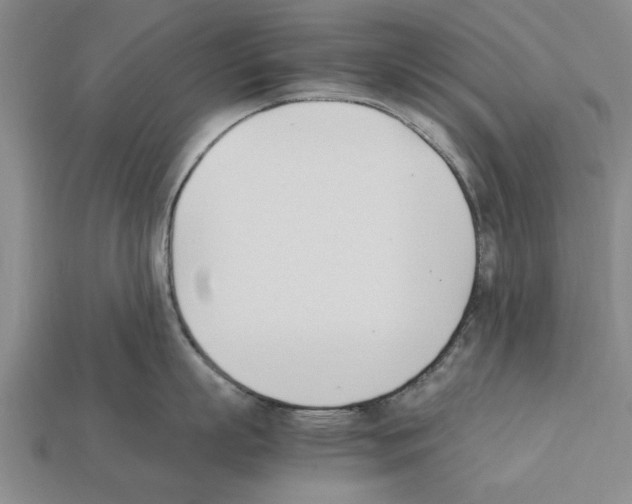 X0000111950863200909071318