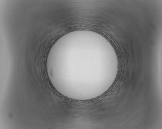 X0000111950865200909071318