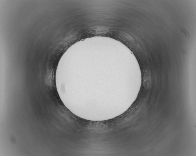 X0000111950866200909071318