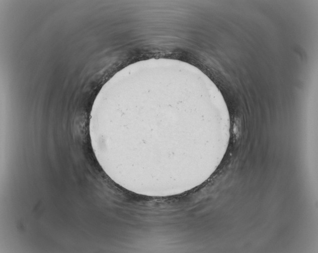 X0000111950867200909071318