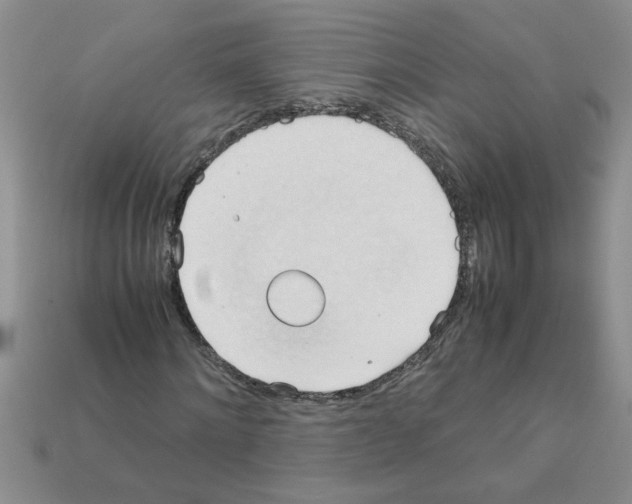 X0000111950868200909071318