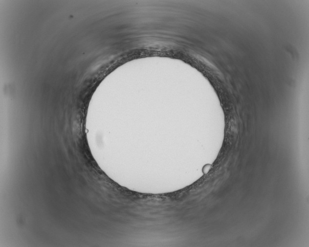 X0000111950869200909071318